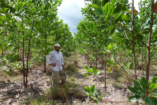 ClimatePartner project Vichada